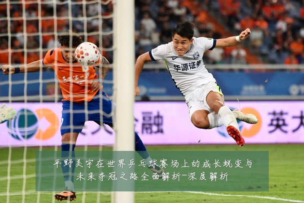 平野美宇在世界乒乓球赛场上的成长蜕变与未来夺冠之路全面解析-深度解析